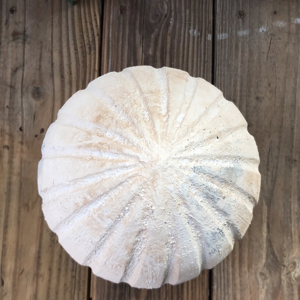 Pottery Barn Country Chic Rustic Weathered Large Size Handcrafted Easter Egg 🐣 - Picture 8 of 16